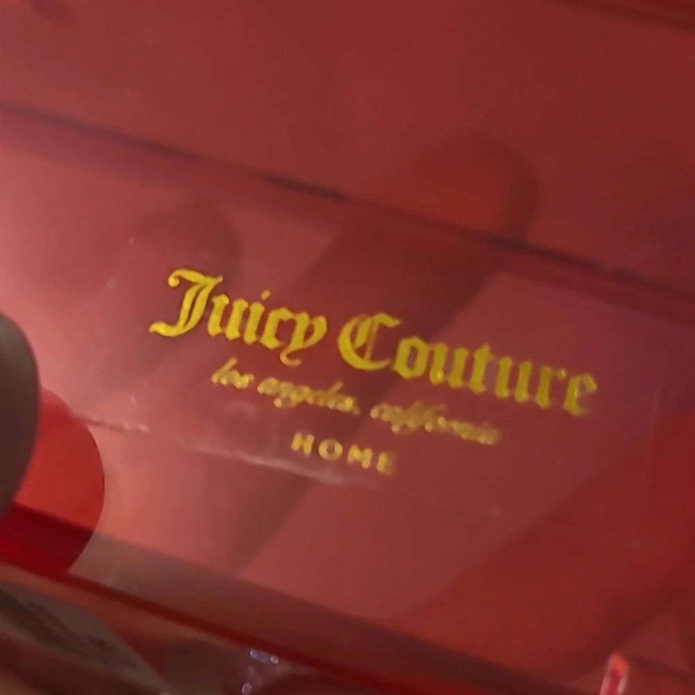 Juicy Couture Pink Acrylic Storage Organizer